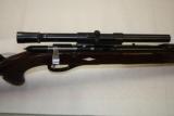 Remington Nylon 12 w/scope - 3 of 6