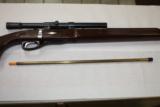 Remington Nylon 12 w/scope - 5 of 6