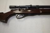 Remington Nylon 12 w/scope - 2 of 6