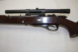 Remington Nylon 12 w/scope - 1 of 6