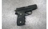 Sig Sauer ~ P229 ~ .40 S&W - 1 of 2