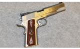 Springfield Armory ~ Range Officer Target ~ .45 ACP - 1 of 2