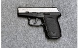 SCCY Industries ~ CPX-2 ~ 9 mm Luger. - 2 of 2