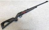 Winchester ~ Xpert ~ .22 Long Rifle.