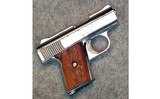 Raven Arms ~ MP-25 ~ .25 ACP. - 1 of 2