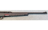 Winchester ~ Wildcat ~ .22 Long Rifle. - 4 of 10
