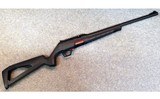 Winchester ~ Wildcat ~ .22 Long Rifle.