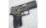 SIG Sauer ~ P320 Compact ~ 9 mm Luger.