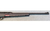 Winchester ~ Wildcat ~ .22 Long Rifle. - 4 of 9