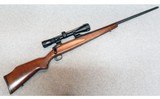 Savage Arms ~ 110 SP ~ 7 mm Remington Magnum.