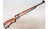 Savage Arms ~ Mark I ~ .22 Long Rifle.