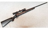 Savage Arms ~ 110 ~ 7 mm Remington Magnum. - 1 of 10