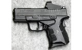 Springfield Armory USA ~ XDS-45 ~ .45 Auto. - 2 of 2