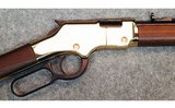 Henry ~ H004V Golden Boy ~ .17 HMR. - 3 of 10