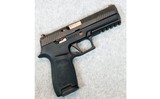 SIG Sauer ~ P320 ~ 9 mm Luger.