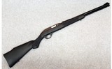 Marlin ~ Model 60 ~ .22 Long Rifle.
