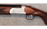 Kofs ~ Sceptre SXR ~ 12 Gauge. - 8 of 10