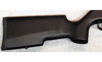 Savage Arms ~ A22 ~ .22 Long Rifle.