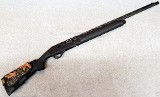 Stoeger ~ M3500 ~ 12 Gauge. - 1 of 10