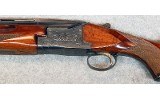 Winchester ~ 101 ~ 12 Gauge. - 9 of 11 Winchester ~ 101 ~ 12 Gauge. - 9 of 11