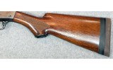 Remington ~ The Sportsman ~ 16 Gauge. - 9 of 10 Remington ~ The Sportsman ~ 16 Gauge. - 9 of 10