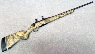 Steyr ~ Safe Bolt ~ .30-06 Springfield.