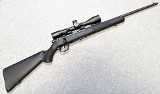Savage Arms ~ Mark II ~ .22 Long Rifle.