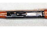 Nikko ~ Shadow ~ 12 Gauge. - 6 of 9