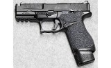 Springfield Armory USA ~ Echelon Compact Compensated ~ 9 mm Luger. - 2 of 2