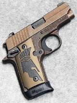 SIG Sauer ~ P238 Spartan ~ .380 ACP. - 1 of 2