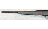 Winchester ~ Wildcat ~ .22 Long Rifle. - 7 of 10