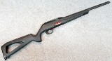 Winchester ~ Wildcat ~ .22 Long Rifle. - 1 of 10
