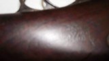 Springfield Armory 1884 Model Ramrod Bayonet - 4 of 6