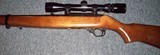 Ruger 10/22 - 4 of 4