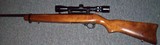 Ruger 10/22 - 3 of 4