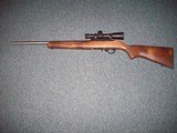 Ruger 10/22 50th Anniversary - 1 of 7