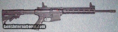 Smith & Wesson M&P 15-22