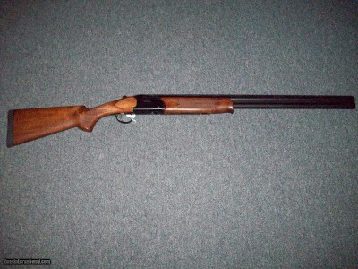 Savage model 555 12 Ga. 3