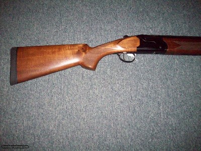 Savage model 555 12 Ga. 3