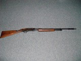Winchester model 42
.410