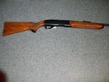 Remington Model 742
30-06 Cal.