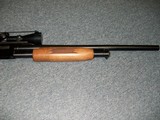 Mossberg 12 ga. 3
