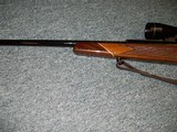 Mauser Werke Model 66
.243 Cal. - 6 of 10