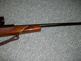 Mauser Werke Model 66
.243 Cal. - 3 of 10