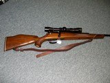 Mauser Werke Model 66
.243 Cal. - 1 of 10