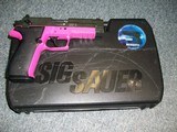 Sig Sauer Mosquito .22 Cal. - 1 of 4