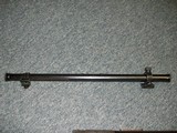German Scheutzen 22 Cal. - 8 of 8