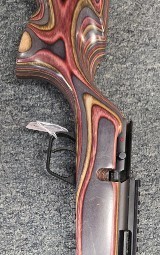 Savage Mk ll
.22cal.