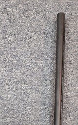 Benelli SUPER BLACK EAGLE
12ga. 3 1/2