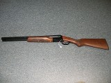 Stoeger COACH GUN.. 12 ga.